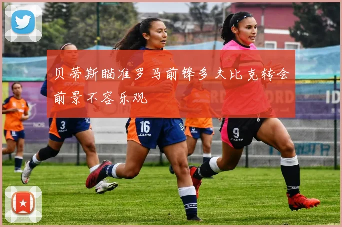 贝蒂斯瞄准罗马前锋多夫比克转会前景不容乐观